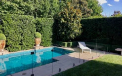 Bay Laurel (Sweet Bay) - Laurus Nobilis - 3 Gallon Pot -Plant Discount Store Bay Laurel 7 1