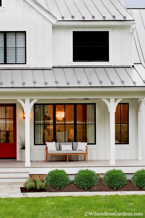 Korean Dwarf Boxwood - Buxus Sinica Var. Insularis 'Nana' - 6 Pack Of 1 Gallon Pots 6 Korean Dwarf Boxwood - Buxus Sinica Var. Insularis 'Nana' - 6 Pack Of 1 Gallon Pots - Image 4