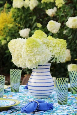 Limelight PeeGee Hydrangea - 3 Gallon Pot -Plant Discount Store Hydrangea Limelight 106 1