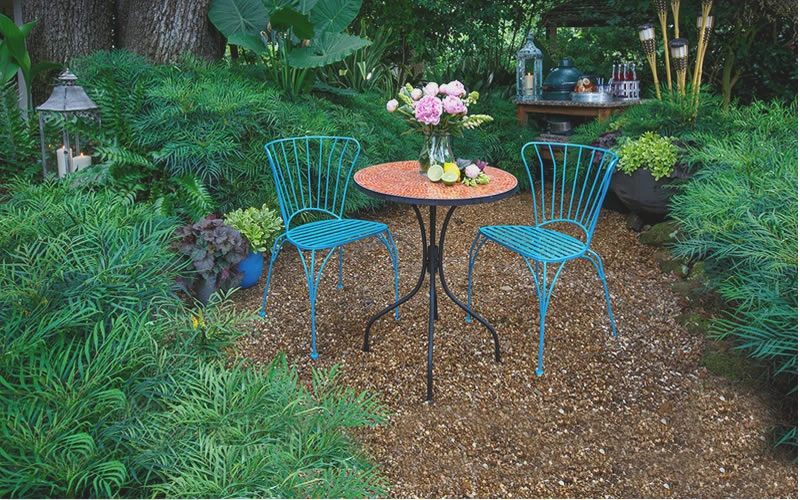 Soft Caress Mahonia - 1 Gallon Pot 6 Soft Caress Mahonia - 1 Gallon Pot - Image 4