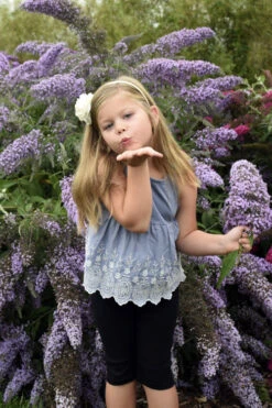 Grand Cascade Butterfly Bush - 6 Pack Of 1 Gallon Pots -Plant Discount Store buddleia grand cascade butterfly bush 6