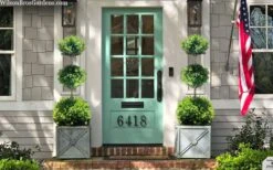 Green Mountain Boxwood 3-Ball Poodle Tier Topiary - 6 Gallon Pot -Plant Discount Store buxus green mountain 3 ball topiary 20