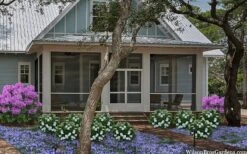 Snow Globe Gardenia - 1 Gallon Pot 13 Snow Globe Gardenia - 1 Gallon Pot -Plant Discount Store gardenia jasminoides snow globe 2 1