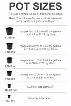 Plant Discount Store -Plant Discount Store pot size chart 2022 143